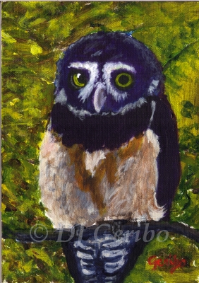 Spectacled Owl Painting by DJ Geribo